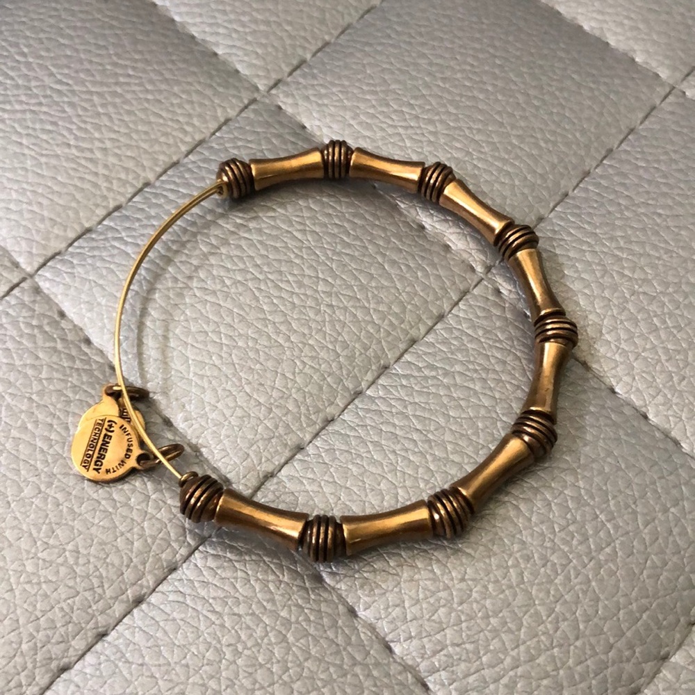 Alex And Ani Bangle - image 1